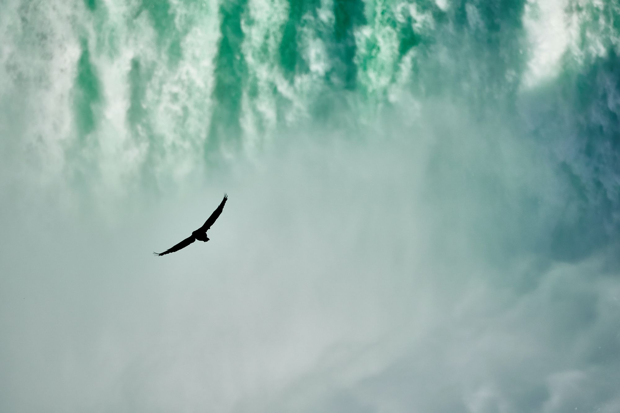 The silhouete of a bird flying and a waterfall behind it.