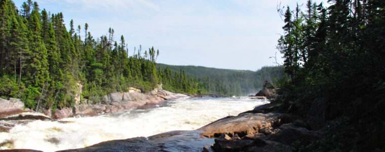 The Romaine river flowing through a forest, near Havre-St-Pierre, Quebec.